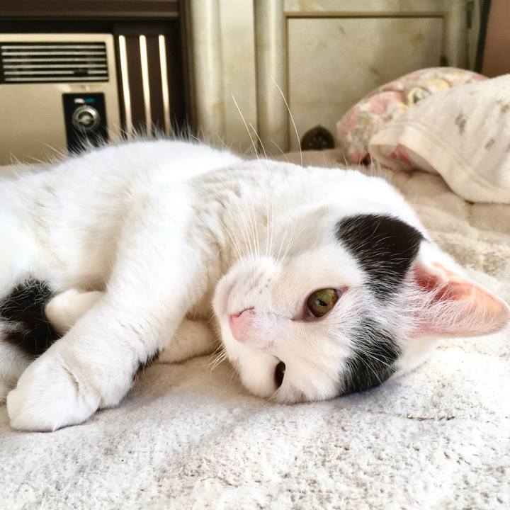 9236c74d c932 4f65 a1d3 f176a3572484 1575959323614