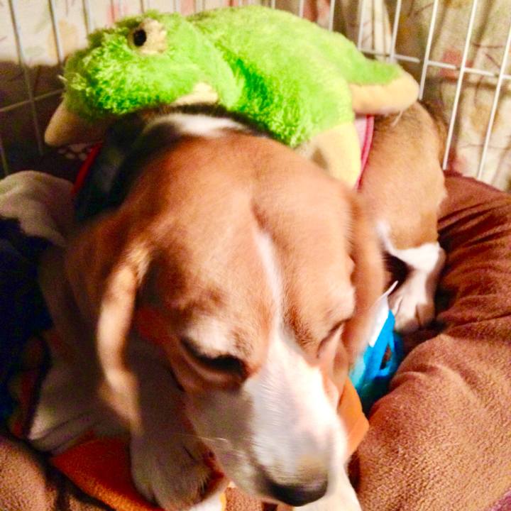 9236db98 04ac 4c11 93c0 358bf87012b0 1743551923279