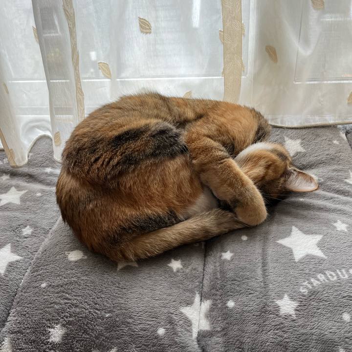 9236e16e b28a 47bf 91c0 57597daad22b 1670210116907