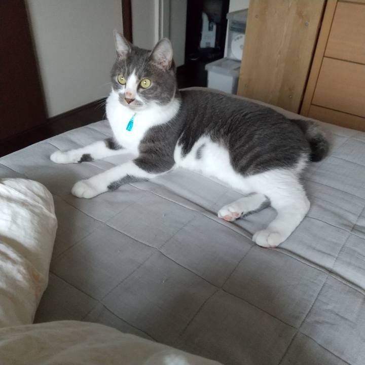 923745aa 9800 42a6 8738 41ffc7d99047 1627692094850