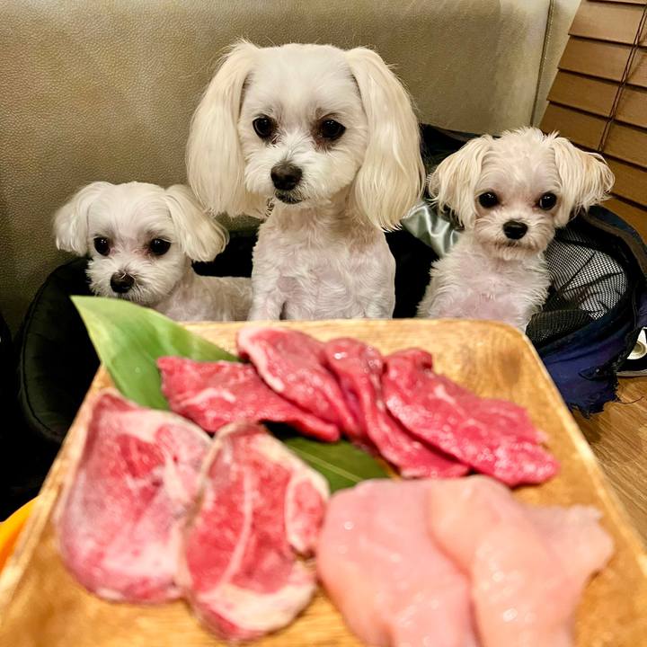 92374aa6 d4b1 4174 8b33 316eb740b76b 1655800027462