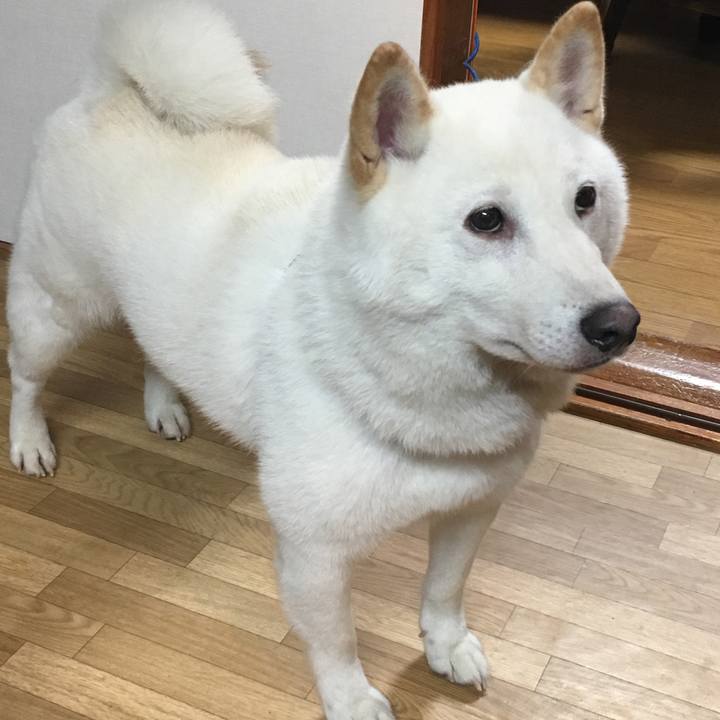 9237804a 8c67 4d7d b9da 9ea15919ce8c 1535536618116