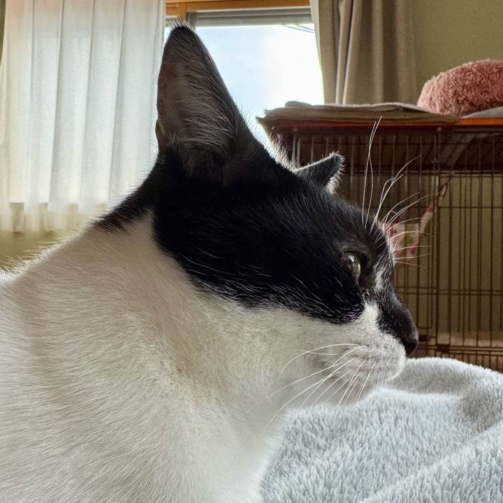 9237ad40 82ad 462e ad9f 2a044f59cdfd 1761186633637