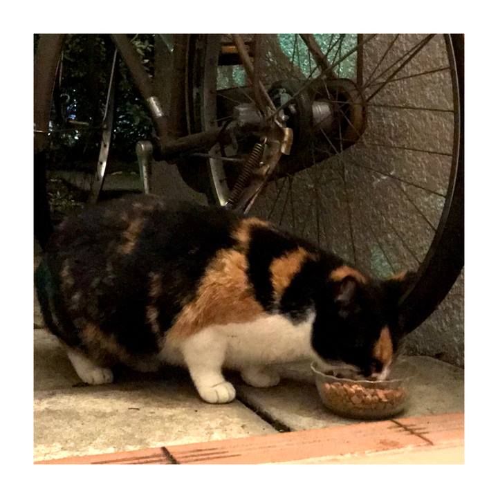 9237b0d6 98fb 4ecc 8e9f 90c52fc25430 1574848649521