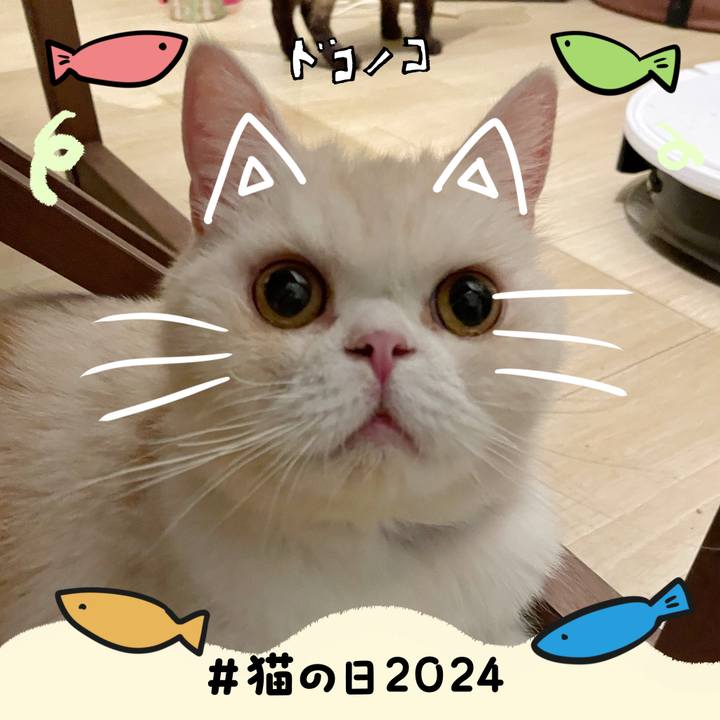 92382f1a 57ab 4e05 a373 fbd02406a3e7 1708557927996