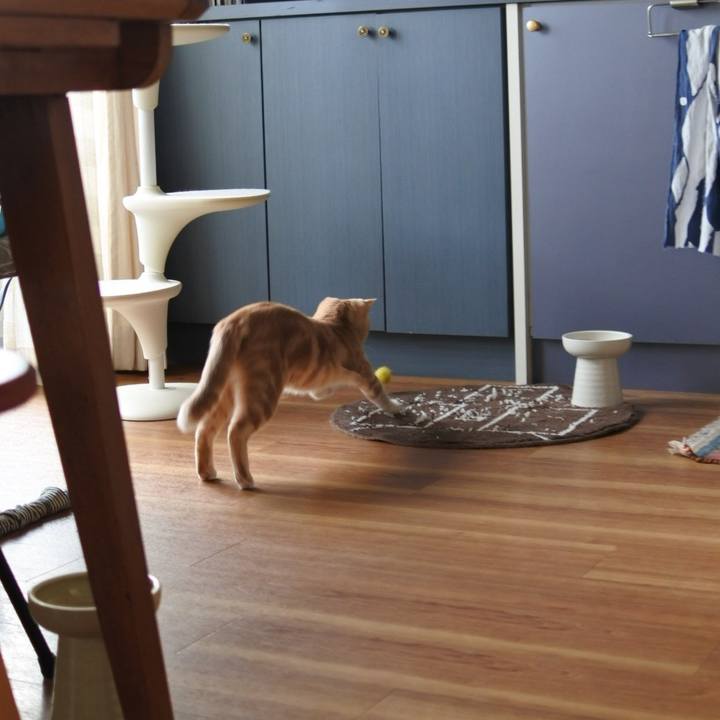 92382fdd a7c3 485a bb95 0d864eb78818 1587562479018