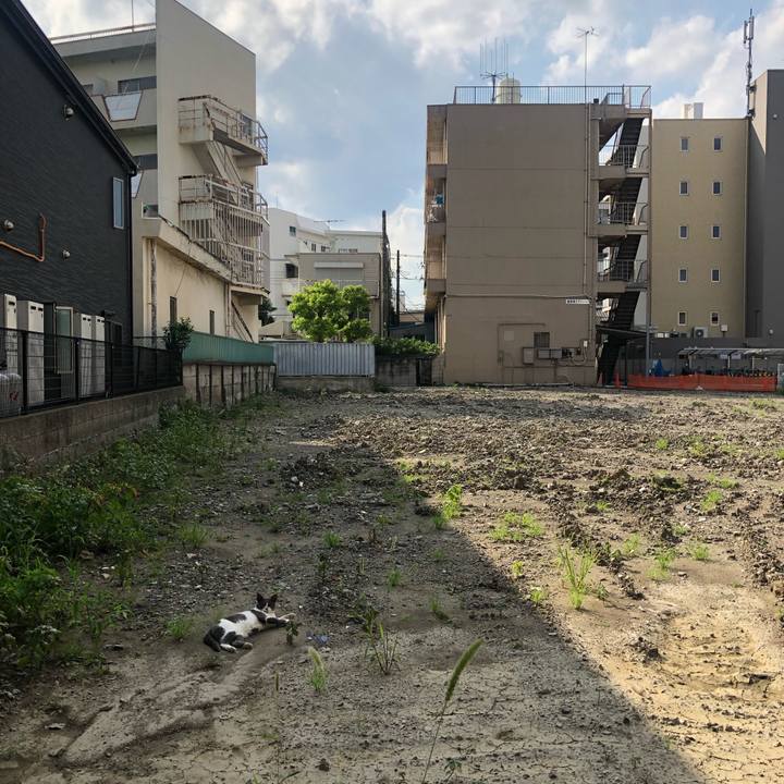 9238488d 1e60 4a34 a85b 0fca50bd9e63 1630703597559