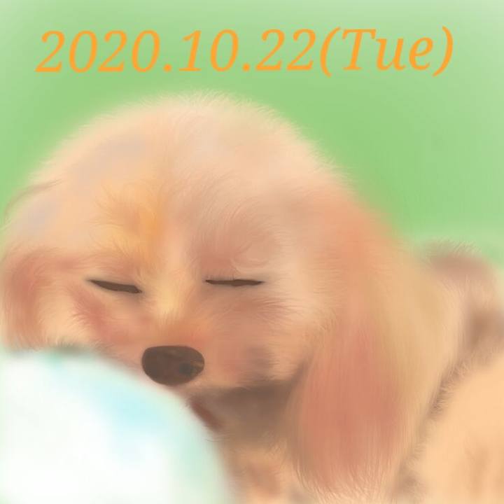 92387f65 a033 4fb1 8d48 e6d736e5332a 1603366352893