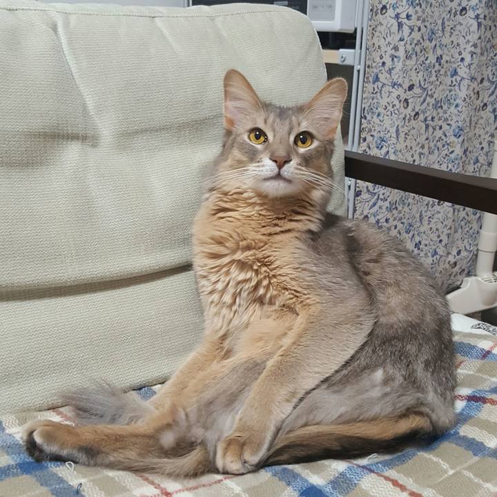 9238832b 5bb8 4c46 9865 016f1ca05c2d 1535898584364