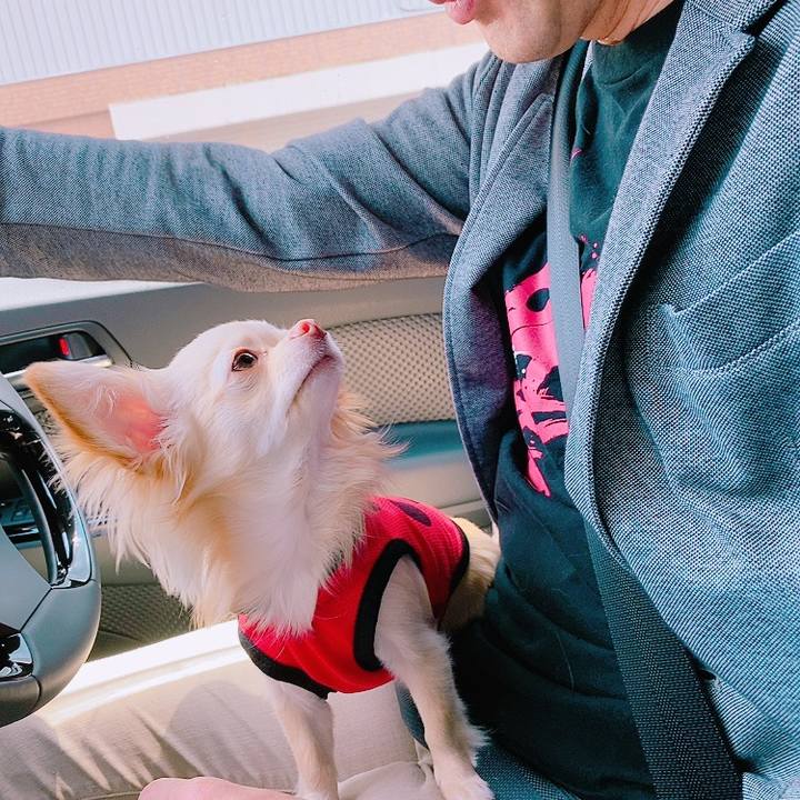 9238bc08 1720 47ea a0bb b022613f7664 1619944017870