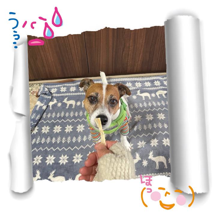 9238e69f 324a 4e36 b25a 388a69015a34 1748663006102