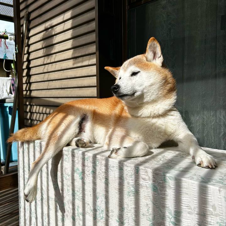 9238e8cd 1414 48fe b56d 0842f12a921f 1760349236789