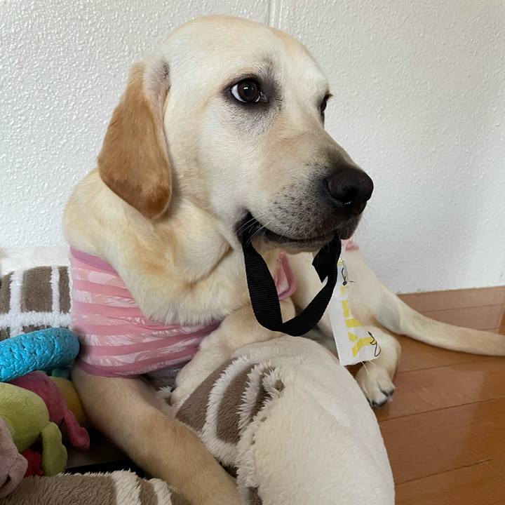 9238ff7a 2405 4b2a 8c6a f81f15a6c5b0 1624143576020