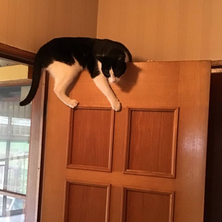 92391b0a 8d6f 4c35 9b6a a3c5fe752186 1653556262701