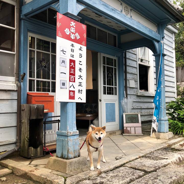 92394c83 a20e 4015 88e2 69f15ba7c77f 1561971916902