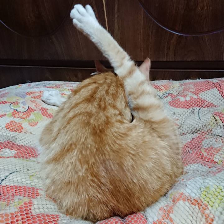 923959d3 8fd3 46fd 8ef6 8314a2b6bea5 1560862589535