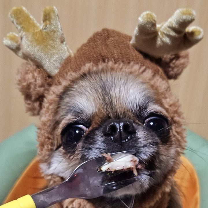 92396c77 10ba 44b5 9be8 465814e9398d 1765364386710