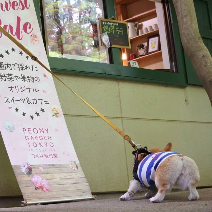 92397fbf 6488 460e ac6a f87f37104dc1 1714229268360