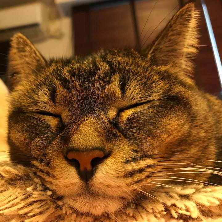 92398220 cdd2 42a7 8e8a e689b527988e 1508714716280