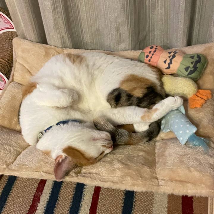 9239aa0f 2d23 477d bd9f f5fb32350ef0 1723376559836