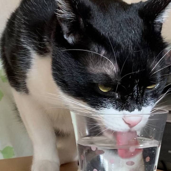 9239e57b 760c 4e1b 9bd0 f6a8fb22725a 1617540866542