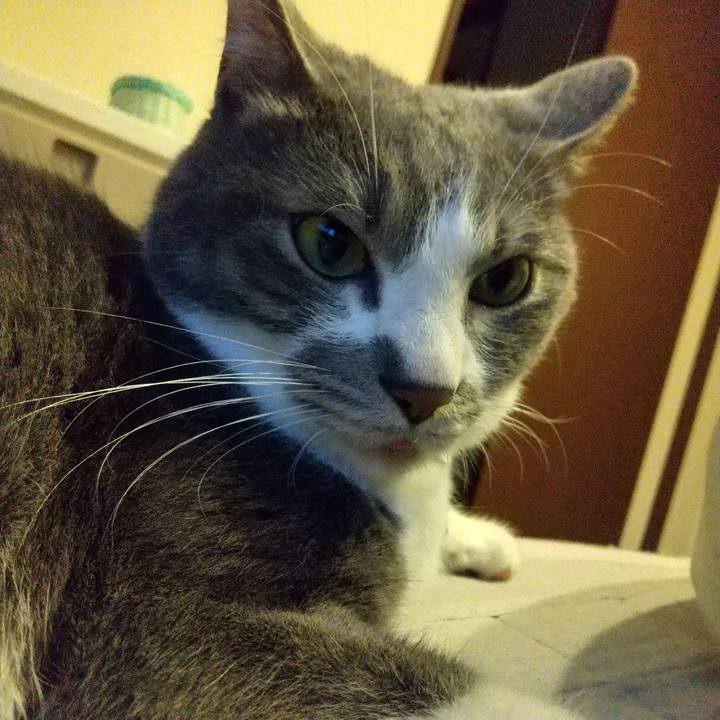 9239ef00 c8c5 4d8c 8126 97cb790edbfe 1650533147364