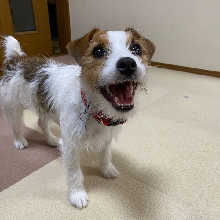 923a2eb4 0508 4063 b573 c03c45b8e369 1644838114444