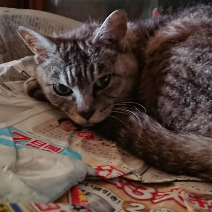 923a44f1 43b2 48ef 9912 f53c8f26072b 1566682167867