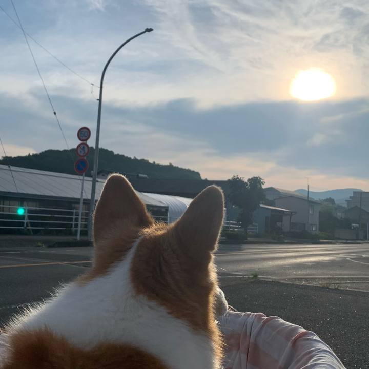 923a5b97 bcf9 476c a135 fde28846d7fc 1722374502066