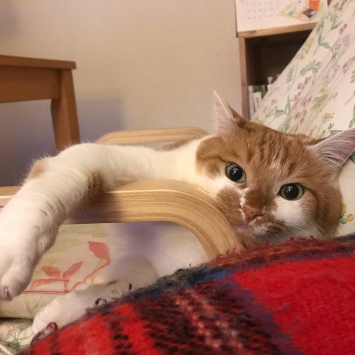 923a60c8 faf4 4a73 b399 c7baf19295ba 1552801872003