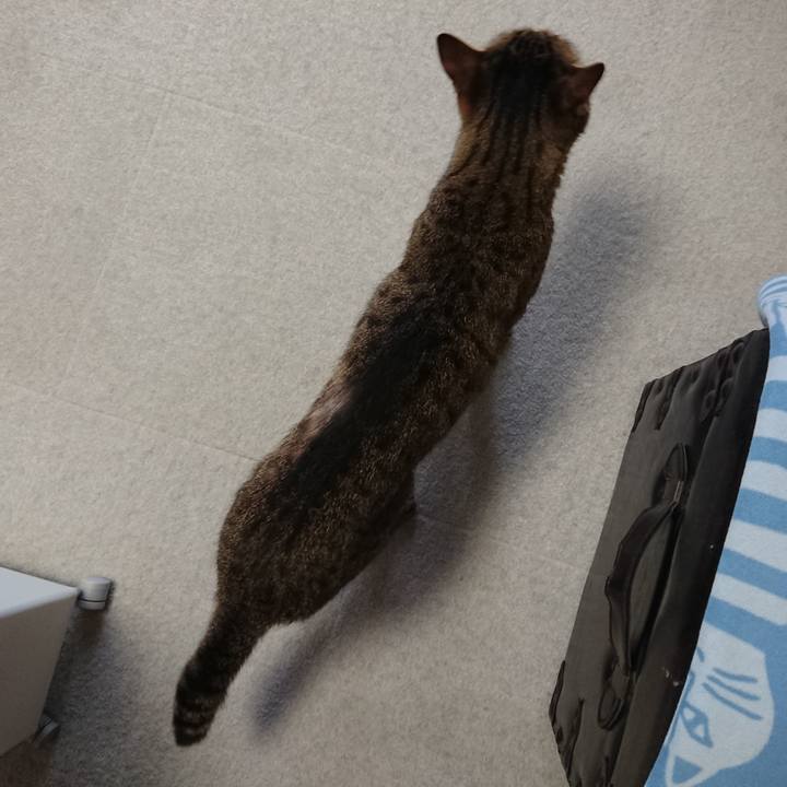 923a638b 47ae 4f44 a22a 9b4335f806cd 1561858242863