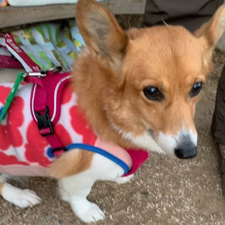 923a6b5f 40fc 419e a3b3 3142bd50051d 1641977142760