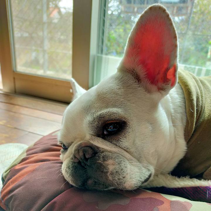 923a8a9b 2e25 450c 95c0 21853783e645 1665788609459