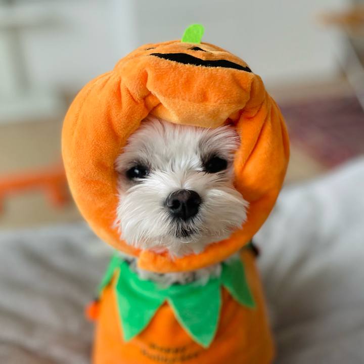 923a9561 3b06 4bcc ad8a 942f6ca9dd91 1761885331174