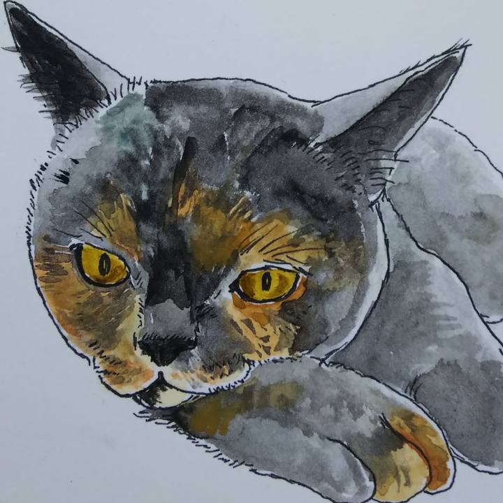 923a96f9 3947 4493 9957 69bc13f48c3e 1577962731065