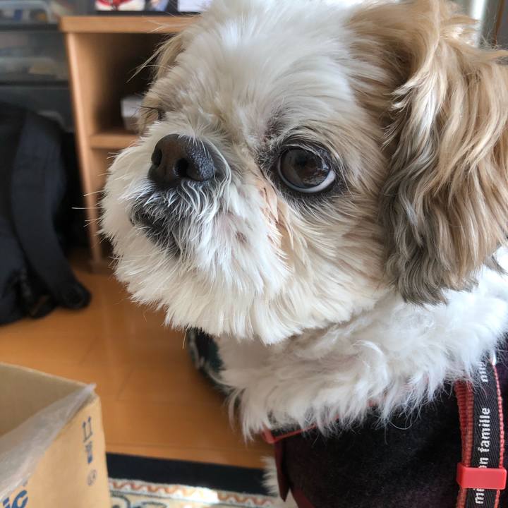 923a973e 926c 48fd bc9e 9d4bf01689a8 1614290550346