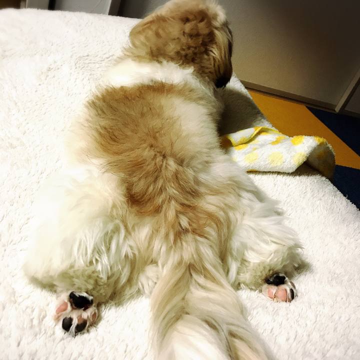 923ab48b c114 42ba af6f 054d74f23b3e 1509026425001