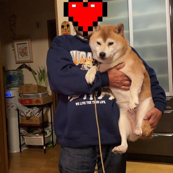 923ab6f3 eaa0 4fc3 8905 6d6e7f058cc0 1633769441379