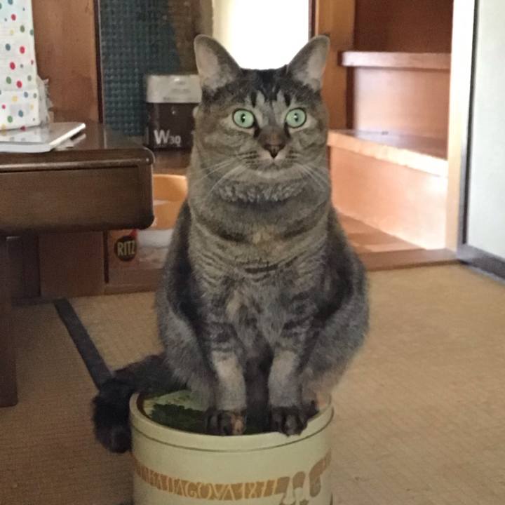 923af090 181d 474c 9a2a 790b181dc3a5 1758436586199