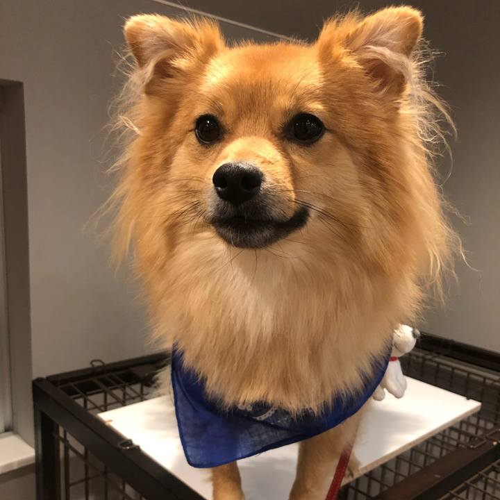 923b403d 2e41 4961 9f46 5ce947a7986d 1635116781242