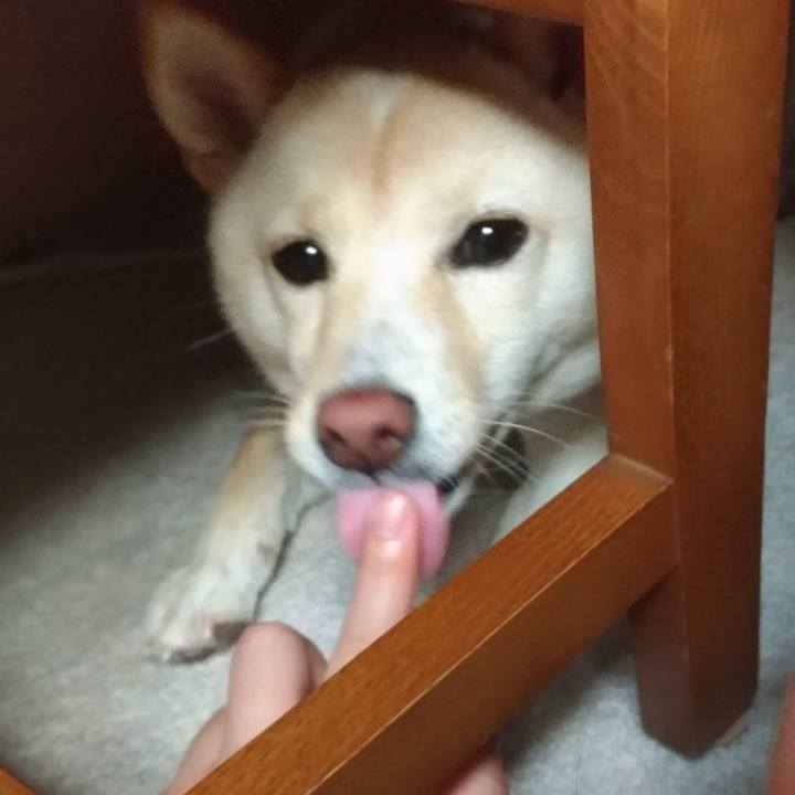 923b7652 2efb 4286 811e def2f6f22c1f 1531828621984