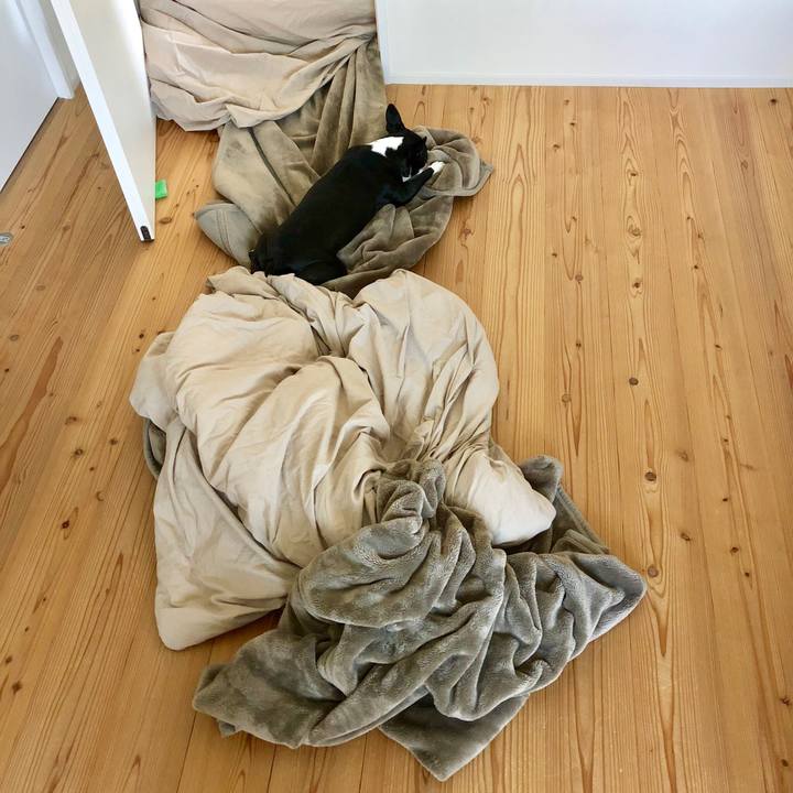 923bcd39 6954 45c5 8a4d 72e95c79802f 1537341761479