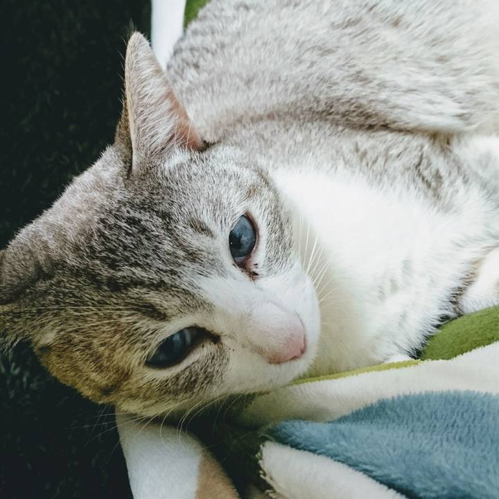 923be2dd a6aa 4de0 8fc7 6f40056f24b8 1550065314210