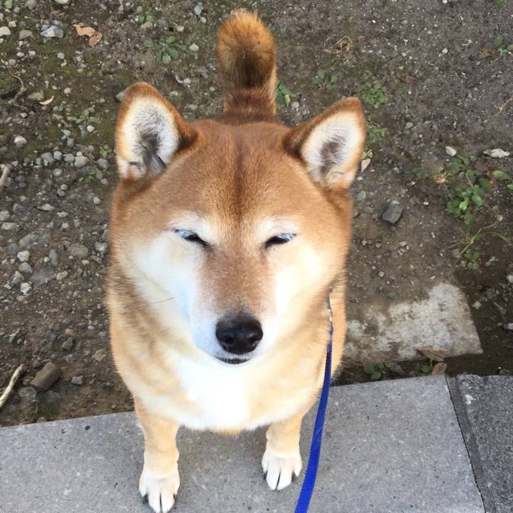 923bfb8e dd2e 4867 b99c b1240d55a248 1546075862162