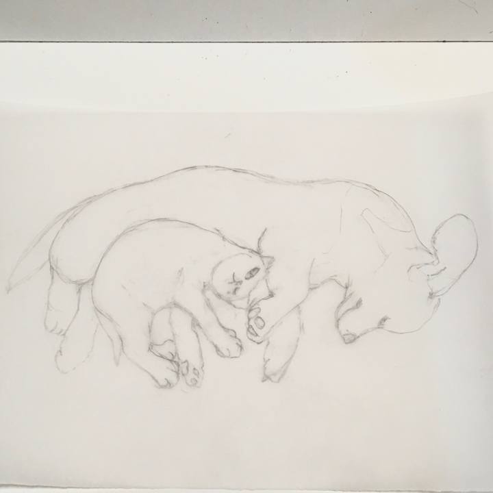 923c1aa5 69d6 43aa 8b43 2b9079ae7884 1592487805304