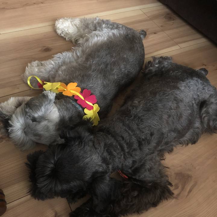 923c62c1 3c09 465e b787 097f80477ddc 1565485583405