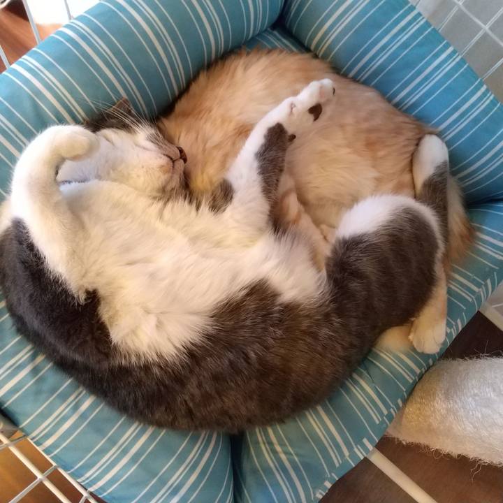 923ca620 1e7f 4b5c 80ce ce6400aecf95 1610172456782