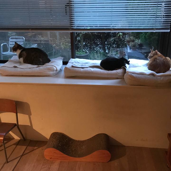 923ce9ff 6601 46e8 af14 7c9473709bde 1522748594947