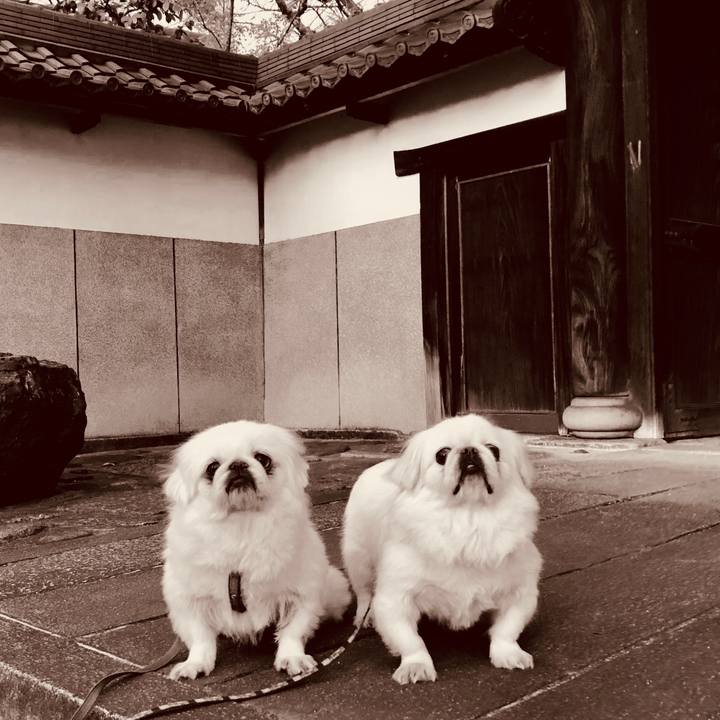 923d0a28 ba0e 476d a233 b9a5ce5c535d 1575107686313