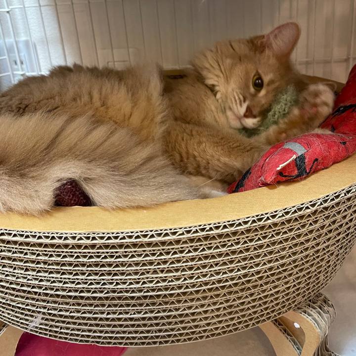 923d2c53 8c47 4c5d 8fdb d719bd4e3d6d 1753499288737